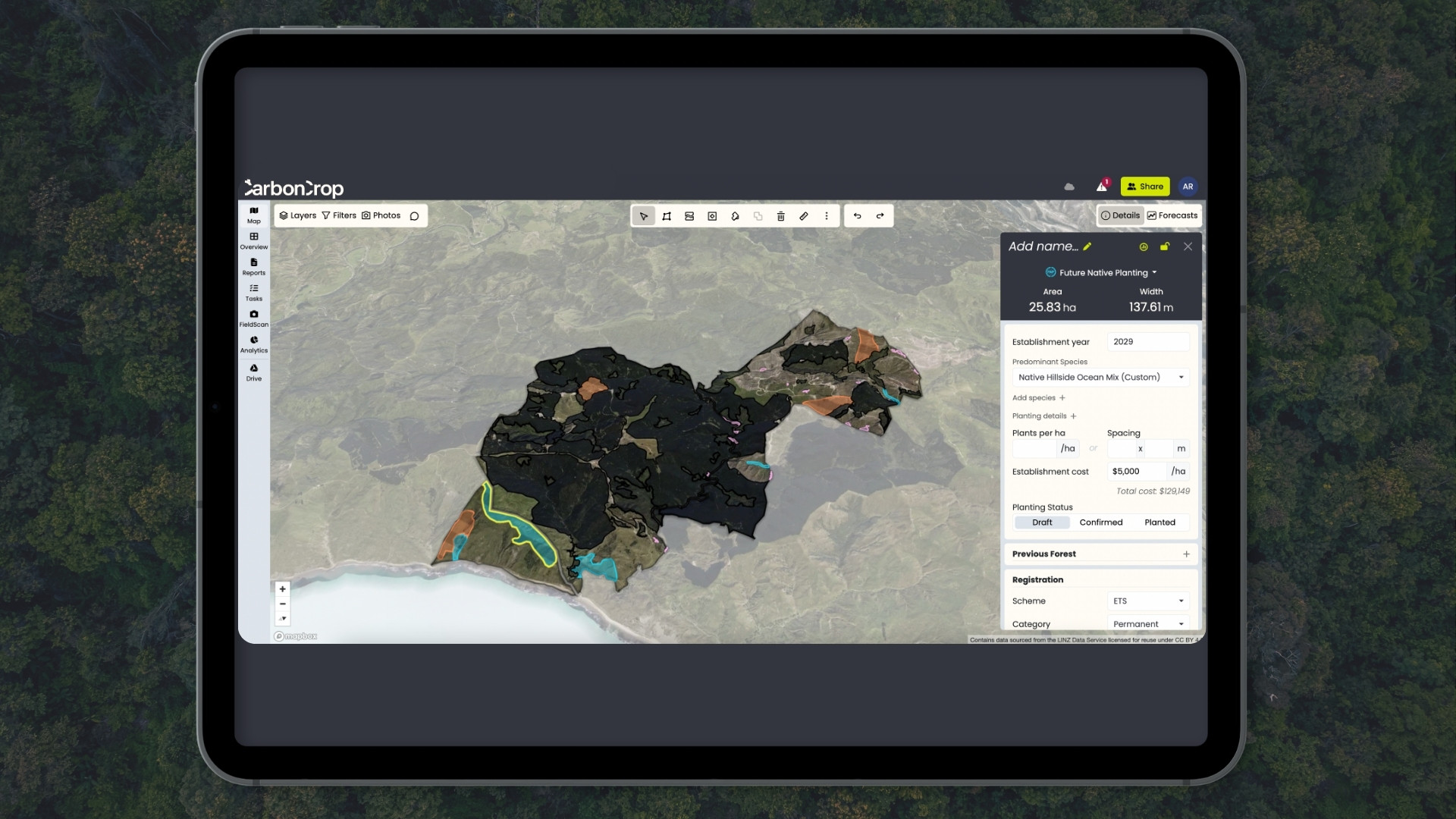 A tablet shows the aerial forest imagery CarbonCrop's models score.